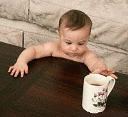  [Image: Baby reaching for cup of coffee] 