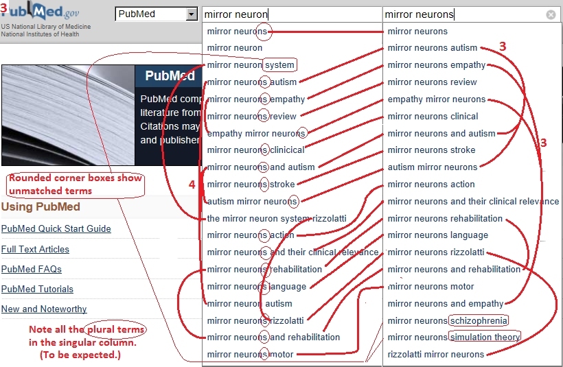 Chart comparing what PubMed finds using singular and plural of 'mirror neuron.'